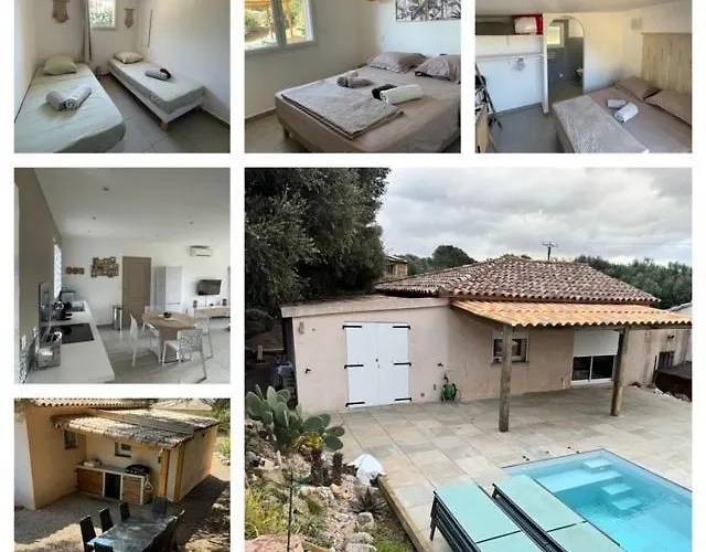 A L'ombra Di L'alivu 菲加里