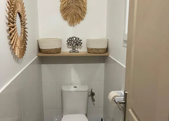 A L'ombra Di L'alivu * 菲加里